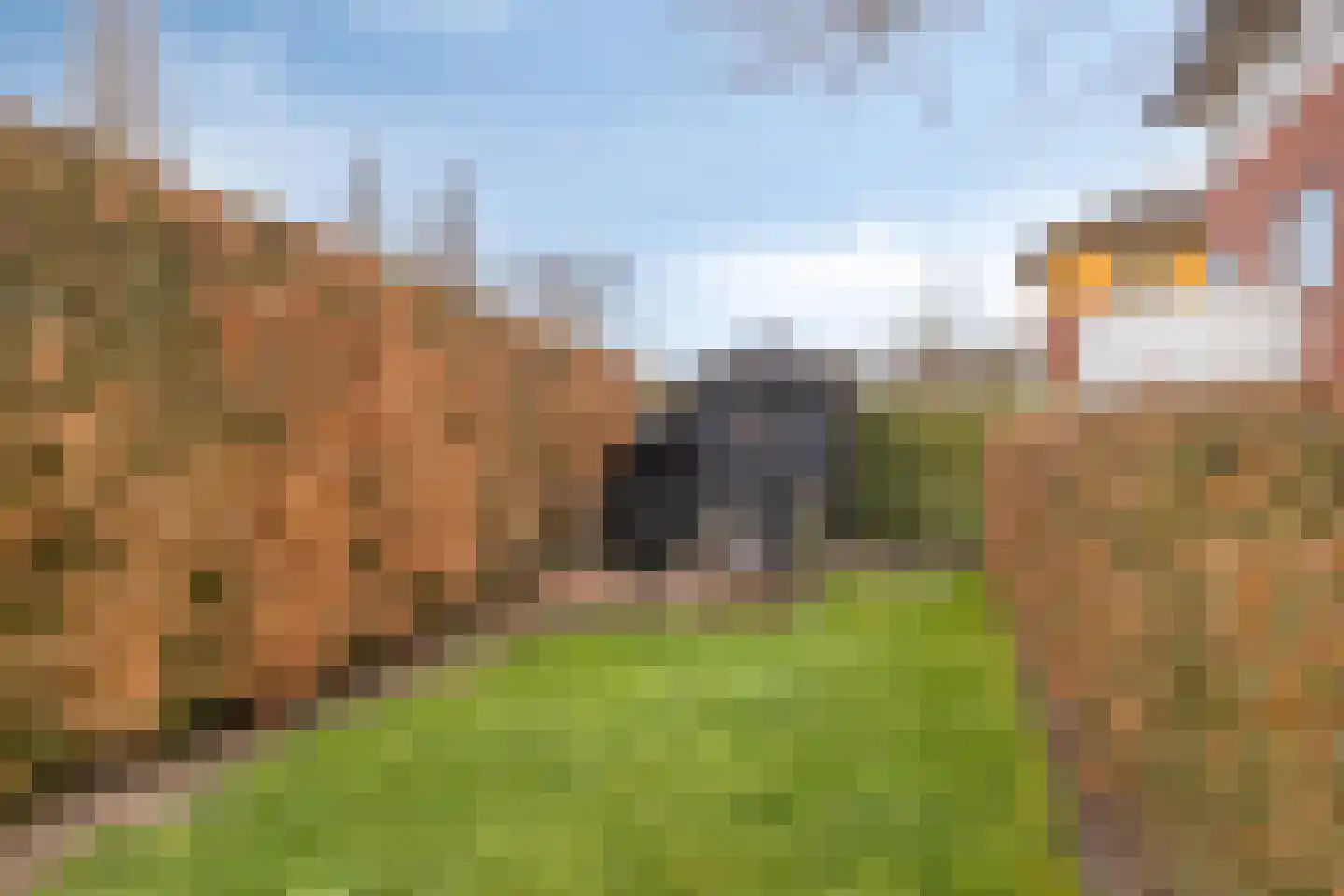 Boskamp 17 Oosterwolde thumbnail 33