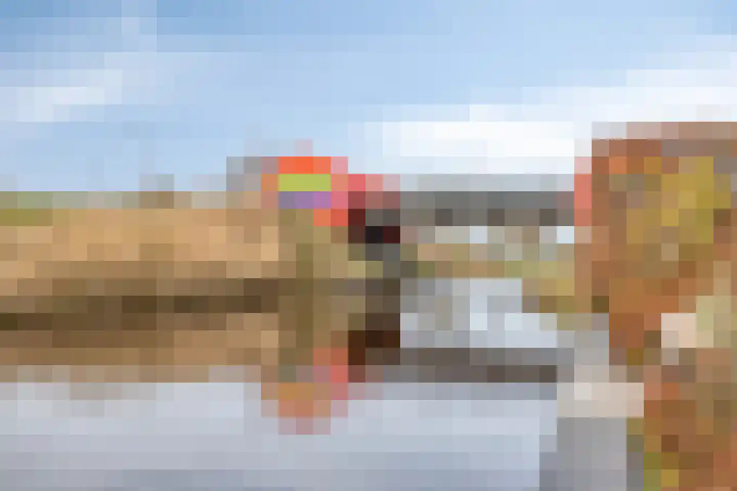 Boskamp 17 Oosterwolde thumbnail 35