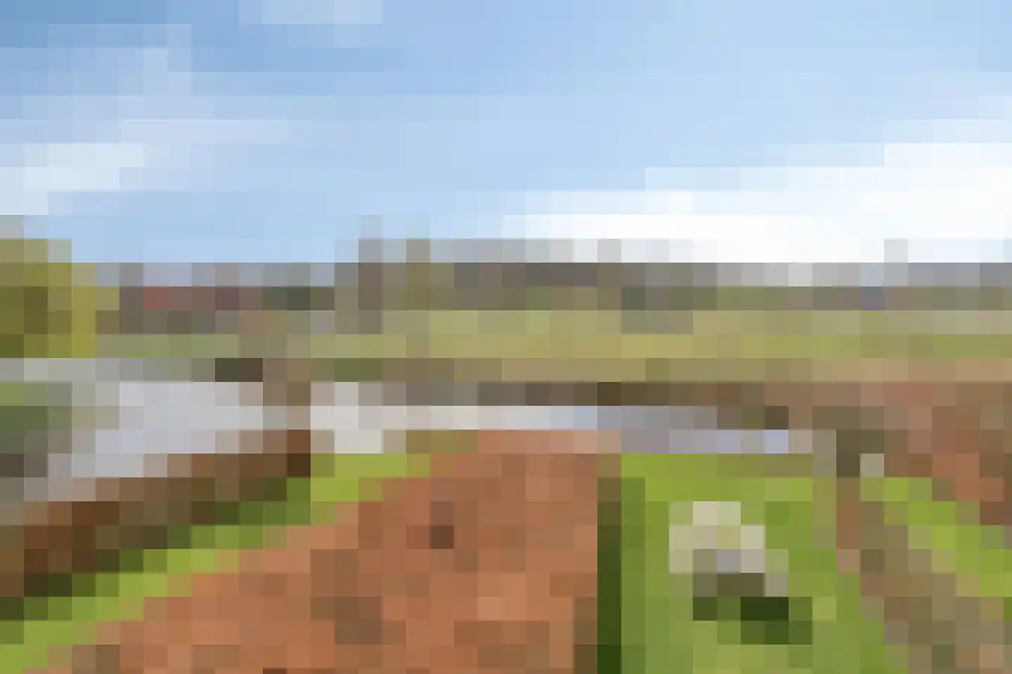 Boskamp 17 Oosterwolde thumbnail 5