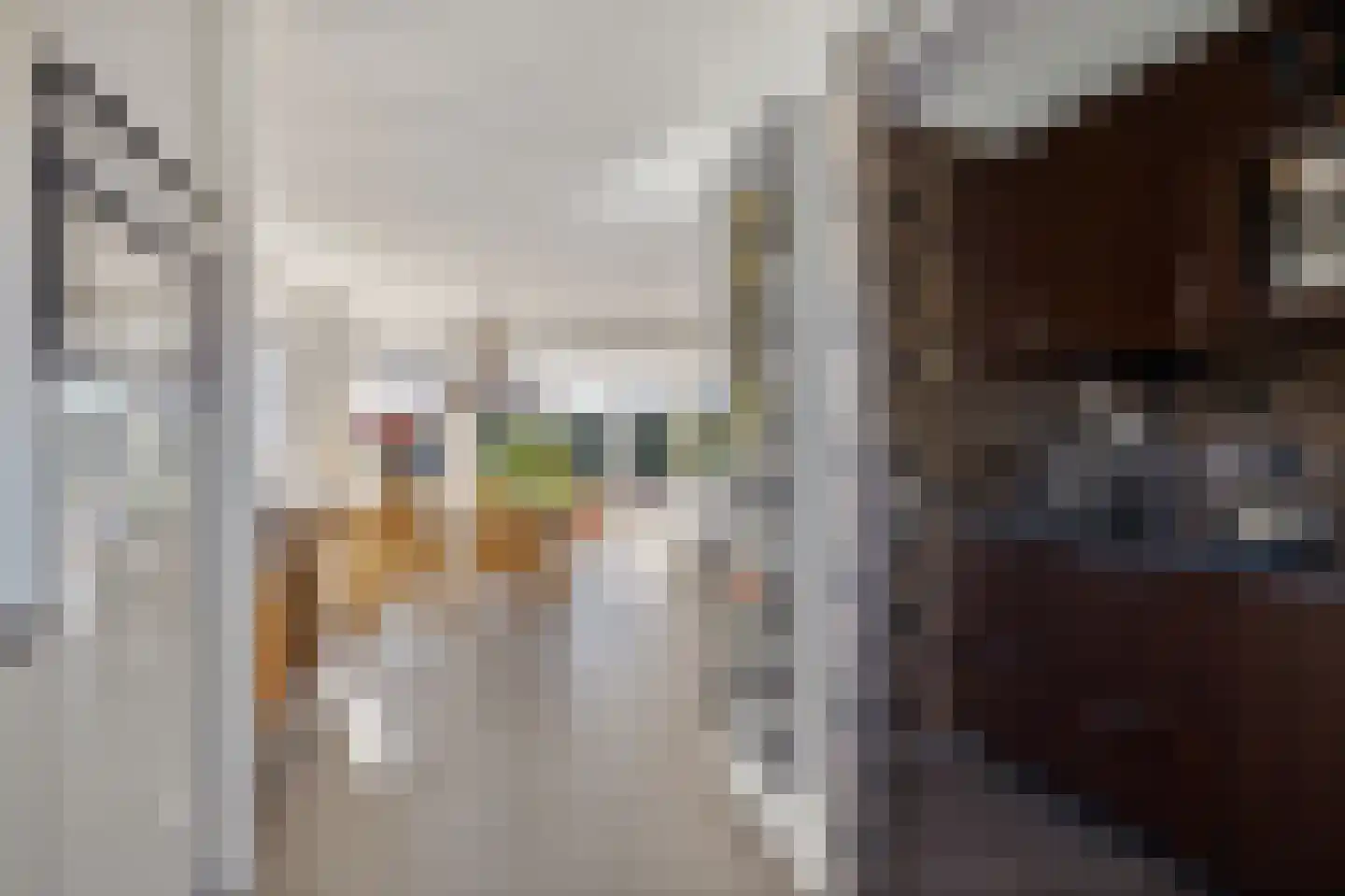 Boskamp 17 Oosterwolde thumbnail 63