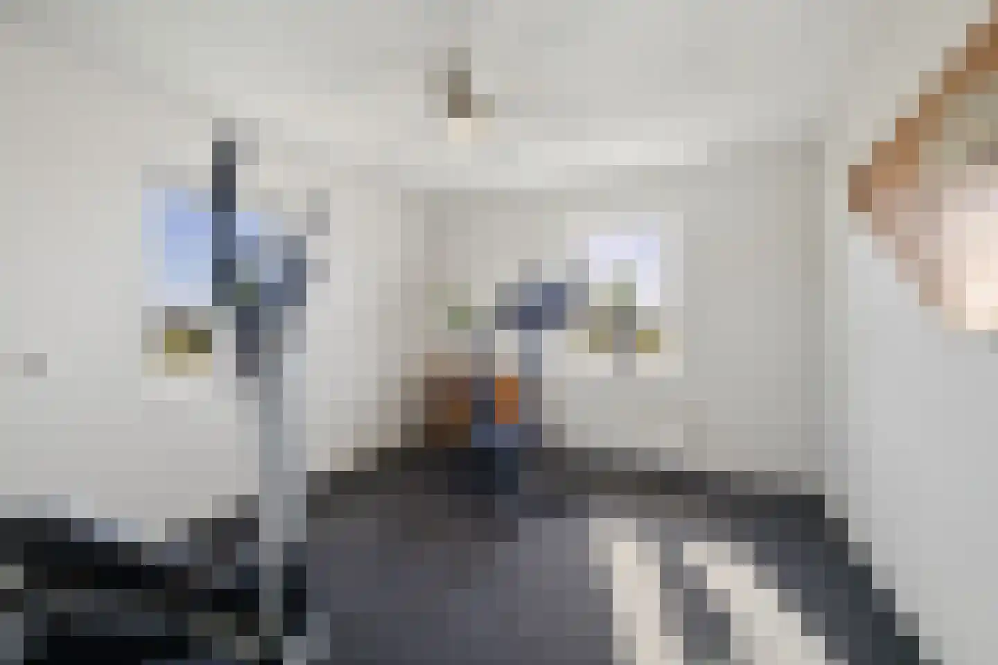 Boskamp 17 Oosterwolde thumbnail 90