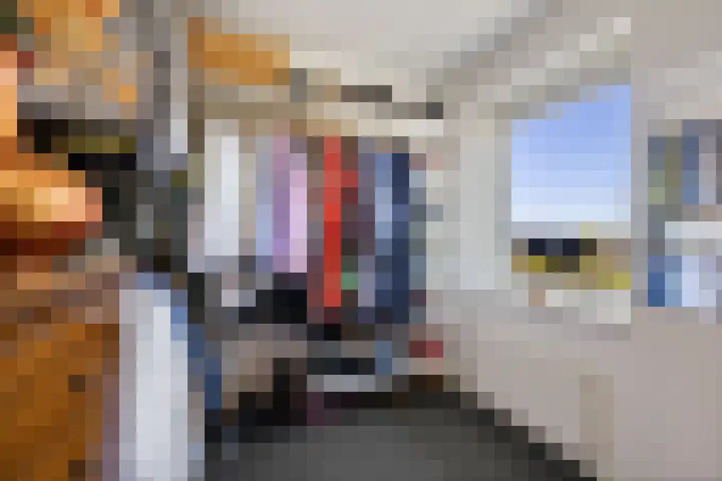 Boskamp 17 Oosterwolde thumbnail 92