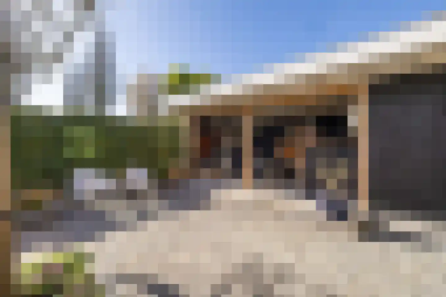 Boskamp 17 Oosterwolde thumbnail 95