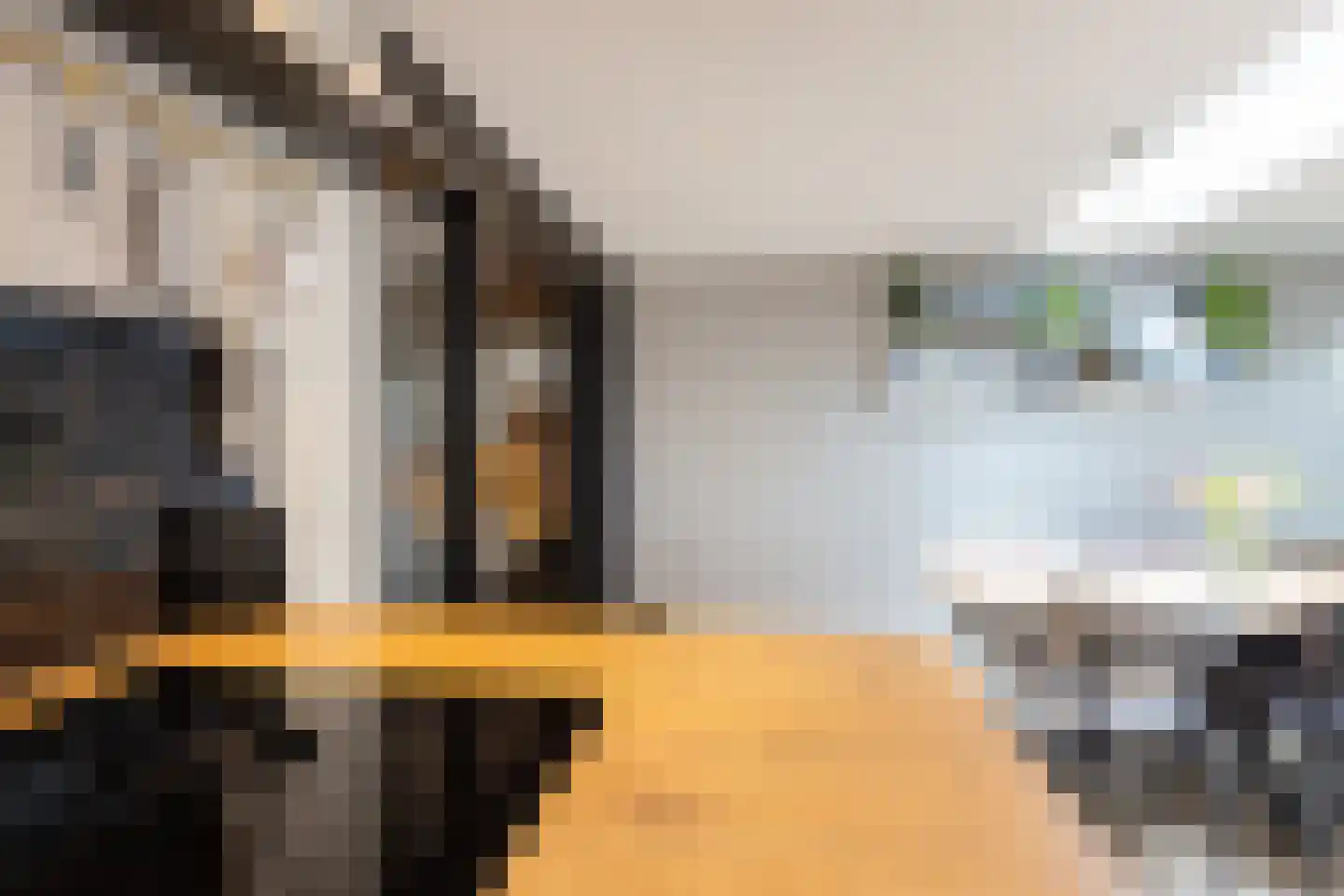 Boskamp 18 Beltrum thumbnail 14