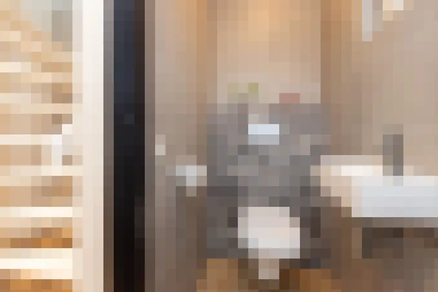 Boskamp 18 Beltrum thumbnail 22