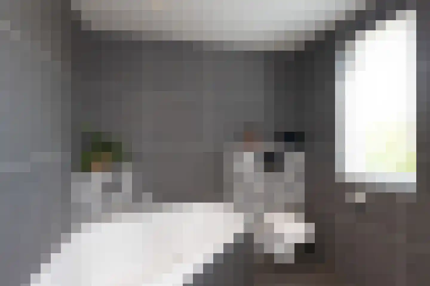 Boskamp 18 Beltrum thumbnail 31