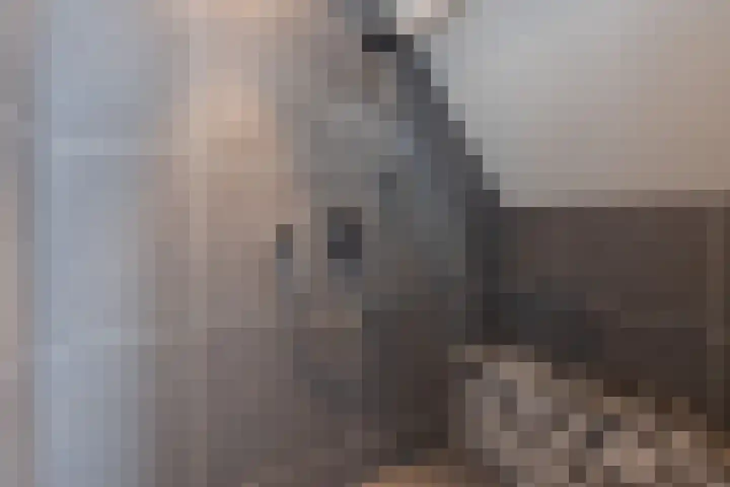 Boskamp 18 Beltrum thumbnail 34