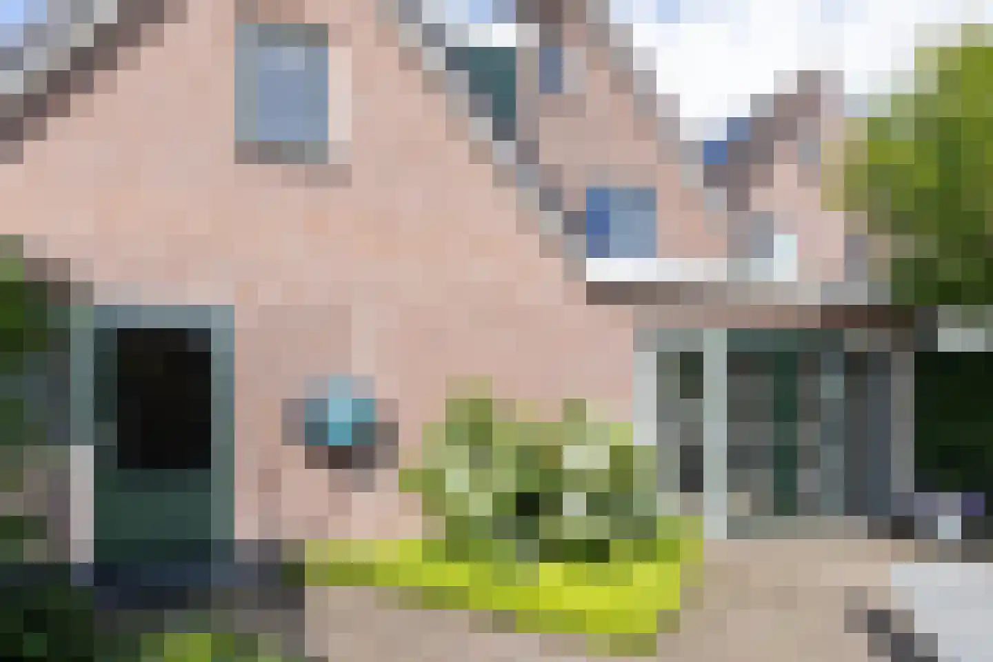 Boskamp 18 Beltrum thumbnail 45