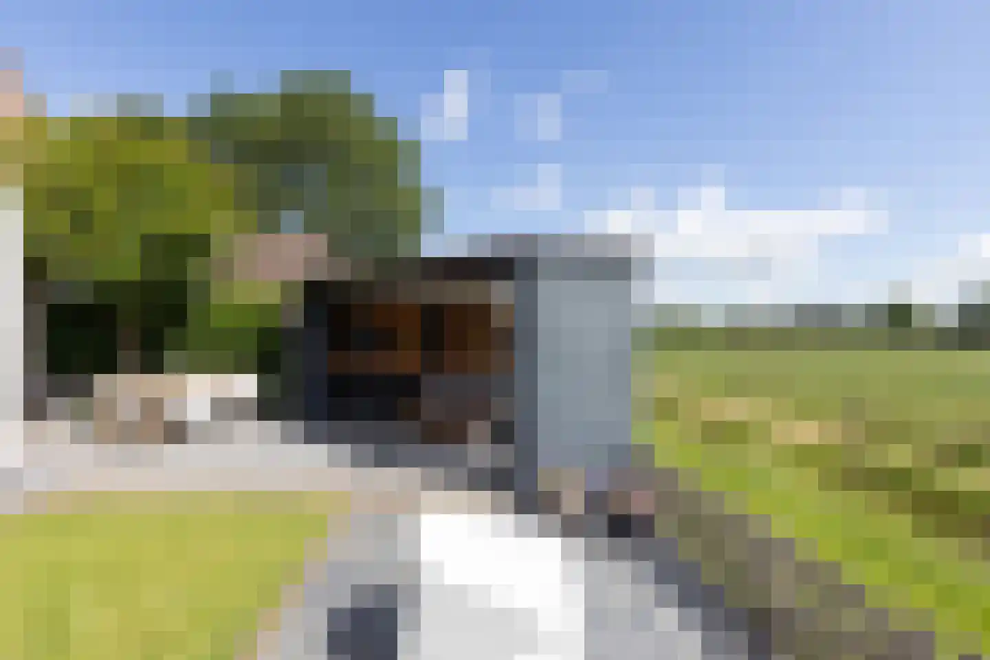 Boskamp 18 Beltrum thumbnail 49