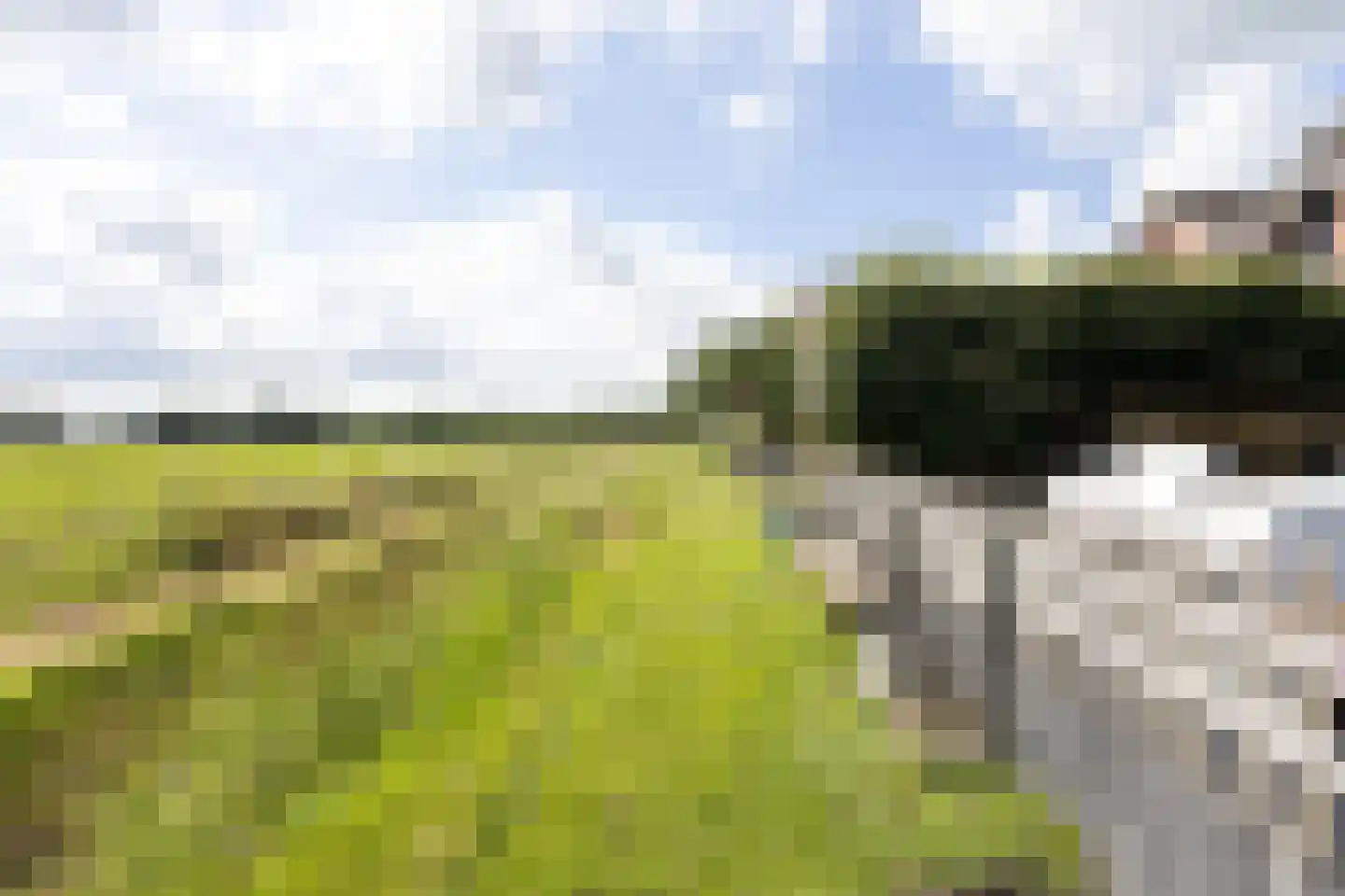 Boskamp 18 Beltrum thumbnail 53