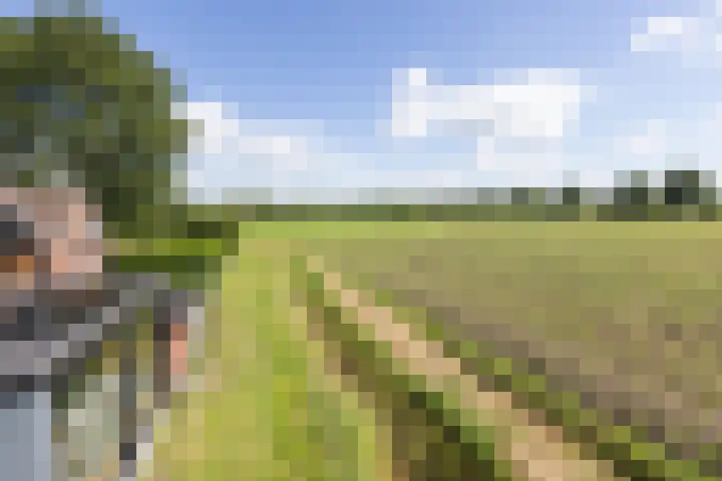 Boskamp 18 Beltrum thumbnail 54