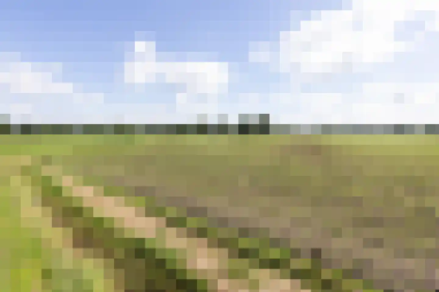 Boskamp 18 Beltrum thumbnail 55