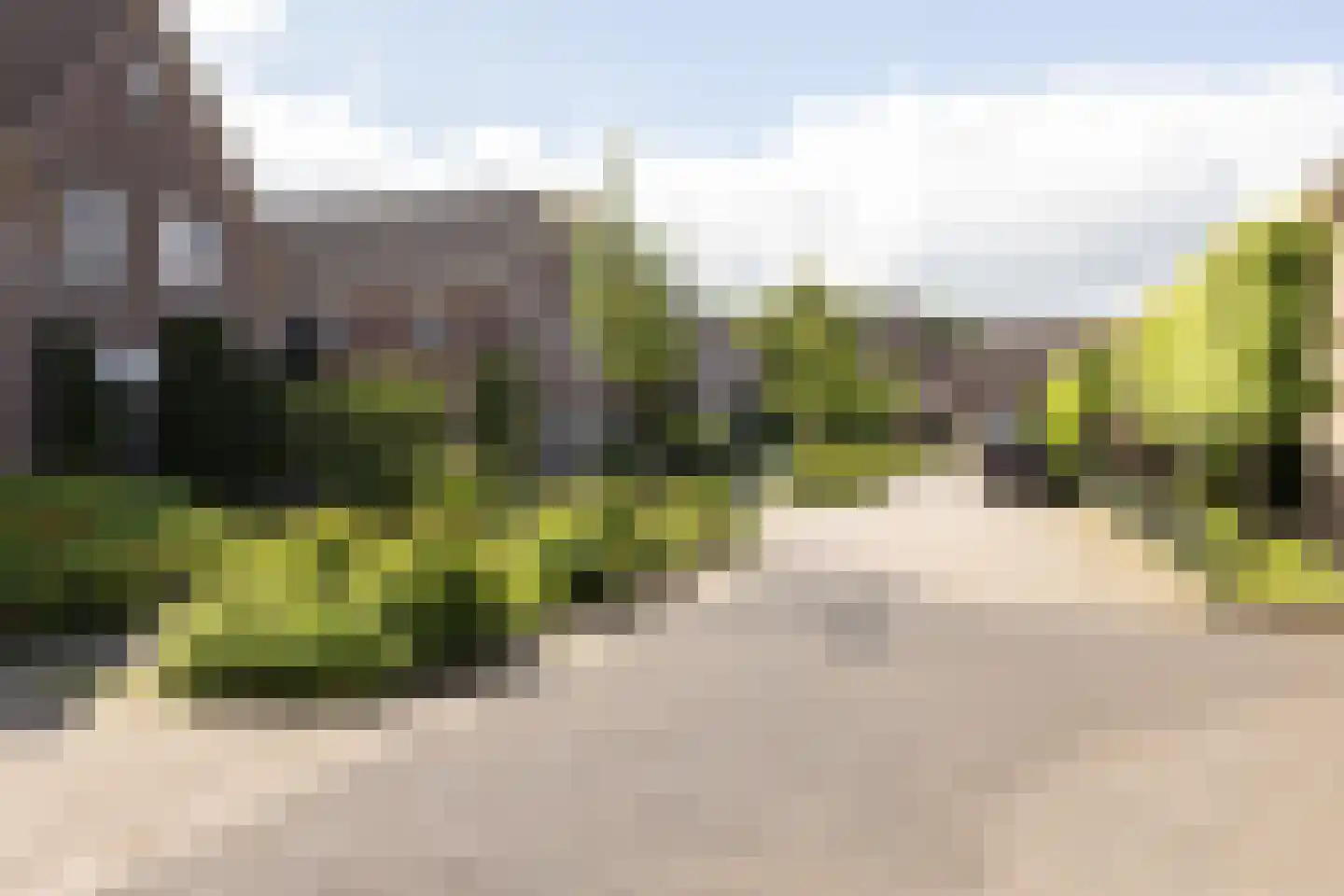 Boskamp 18 Beltrum thumbnail 58