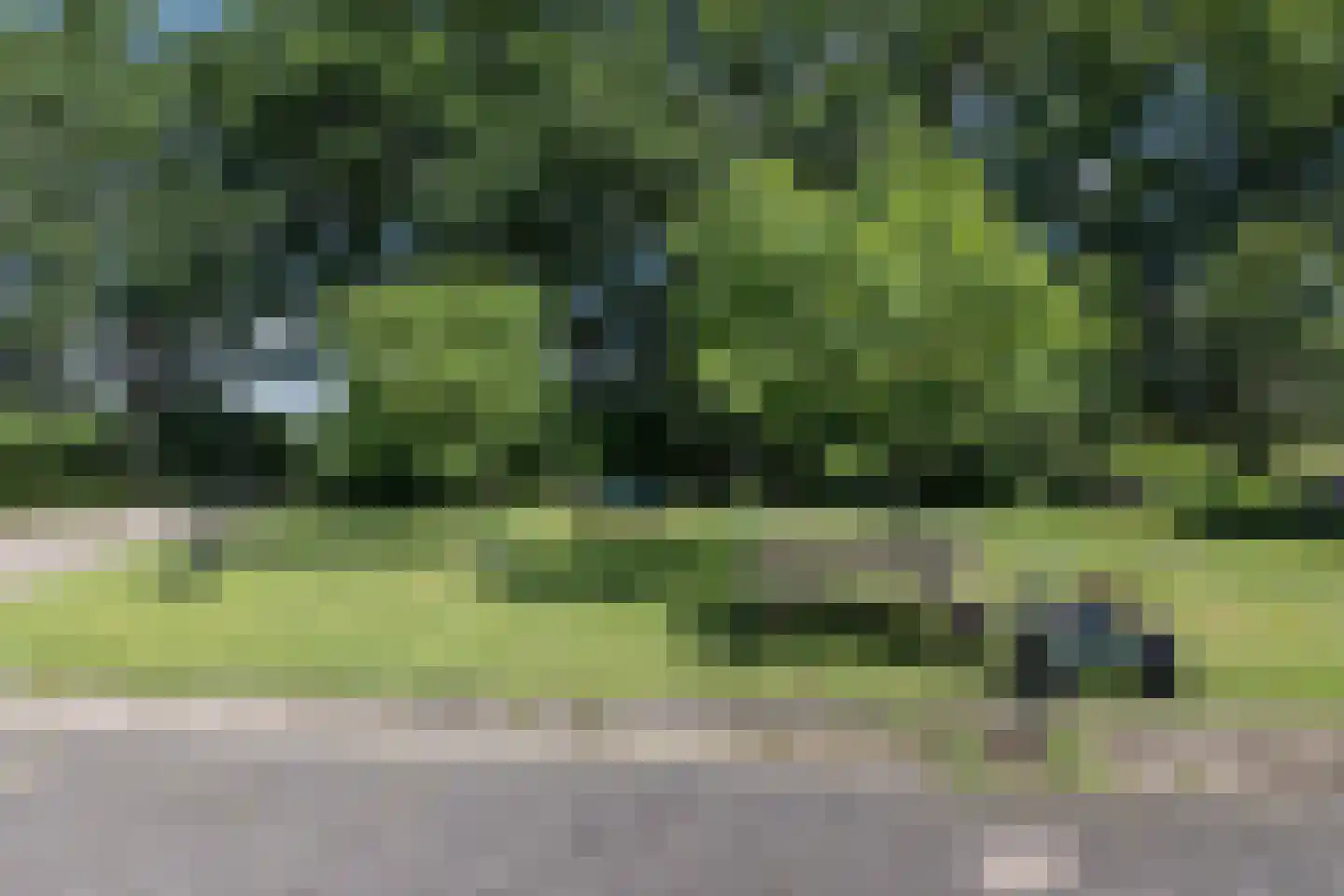 Boskamp 18 Beltrum thumbnail 59