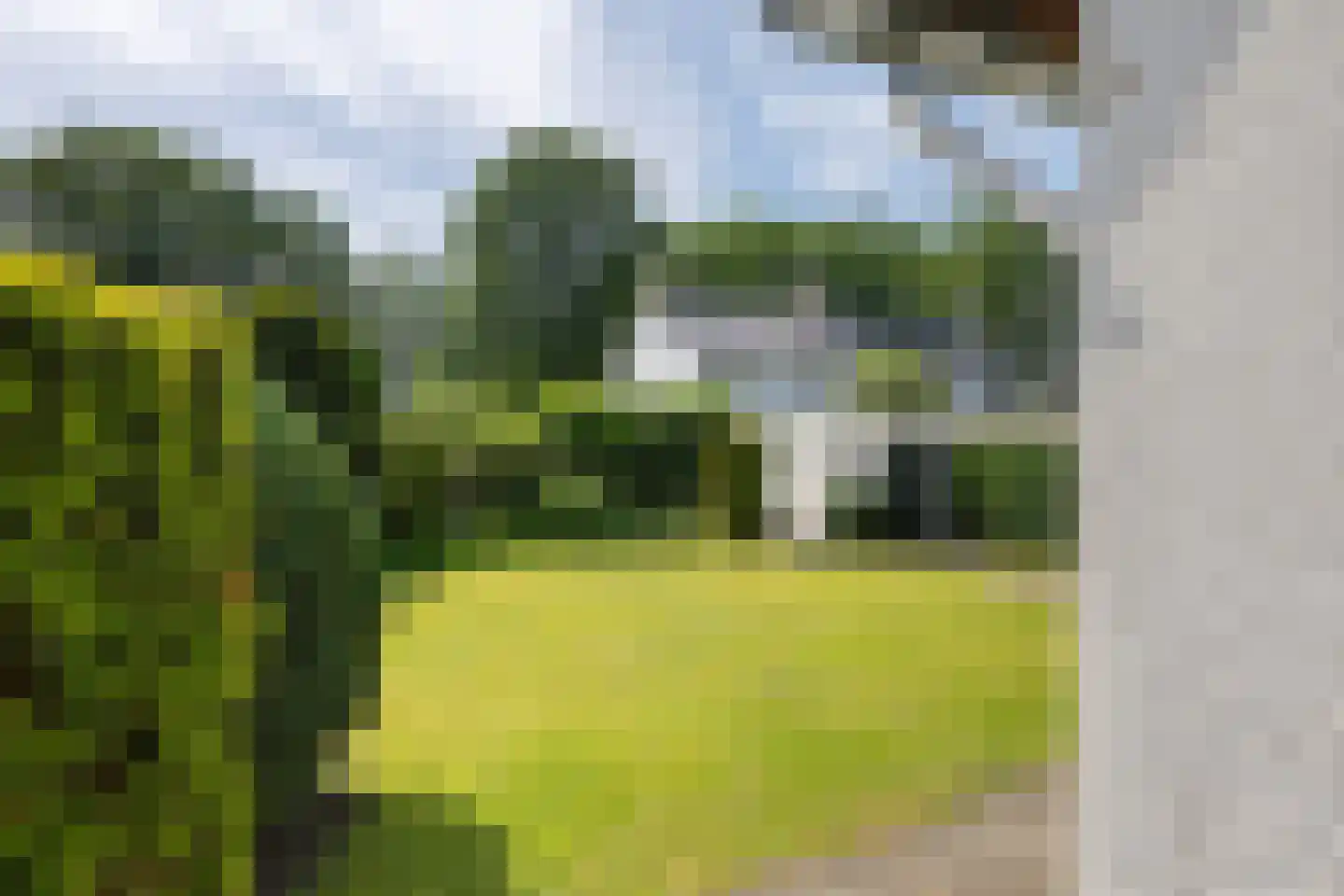 Boskamp 2 Emmen thumbnail 29