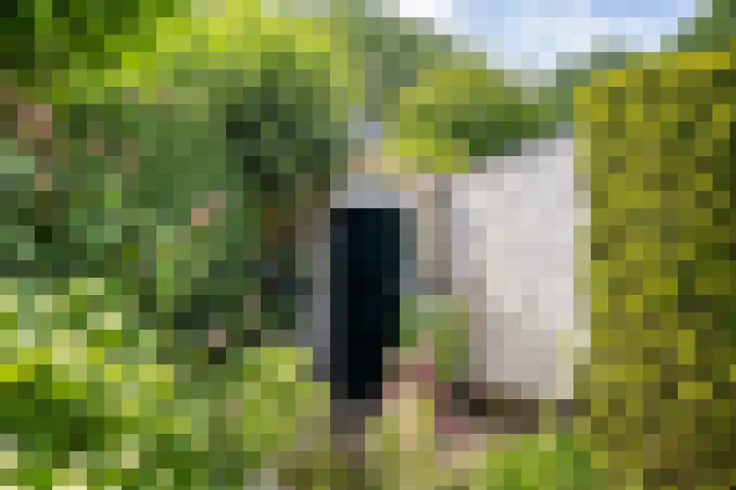 Boskamp 2 Emmen thumbnail 33