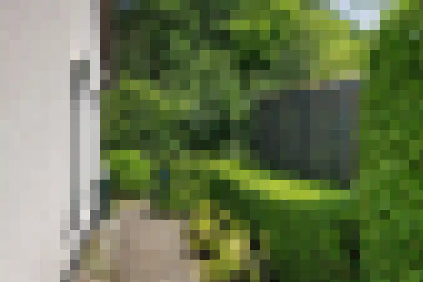 Boskamp 2 Emmen thumbnail 34