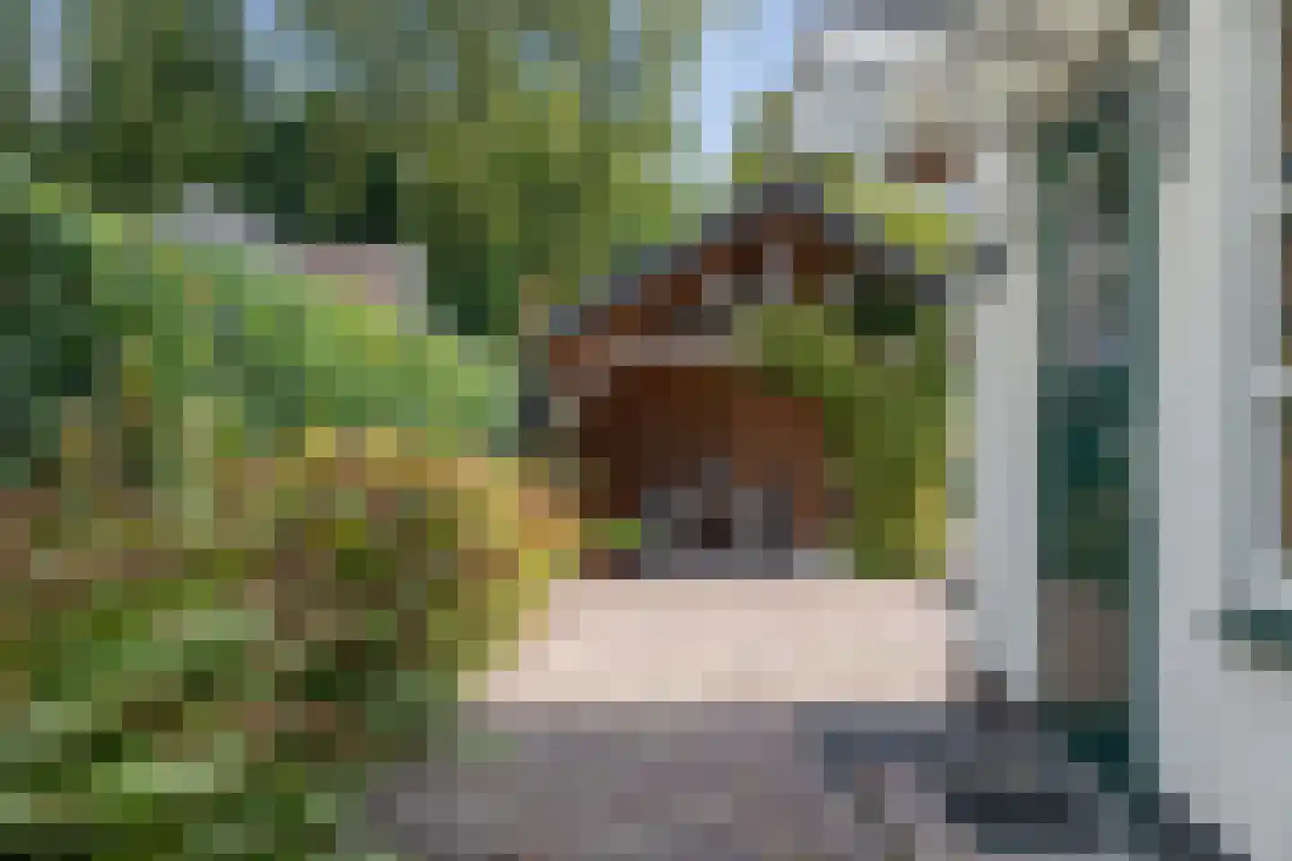 Boskamp 22 Emmen thumbnail 32