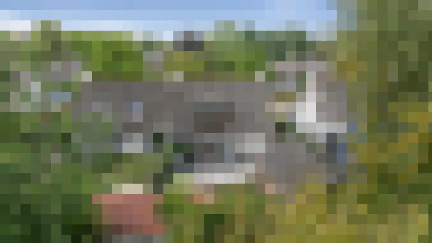 Boskamp 22 Emmen thumbnail 43