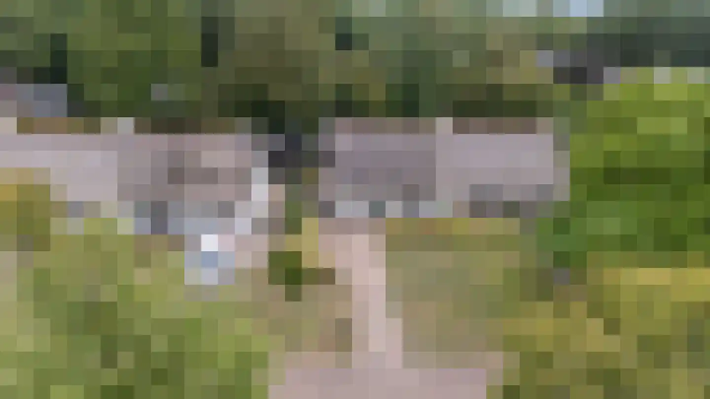 Boskamp 22 Emmen thumbnail 50