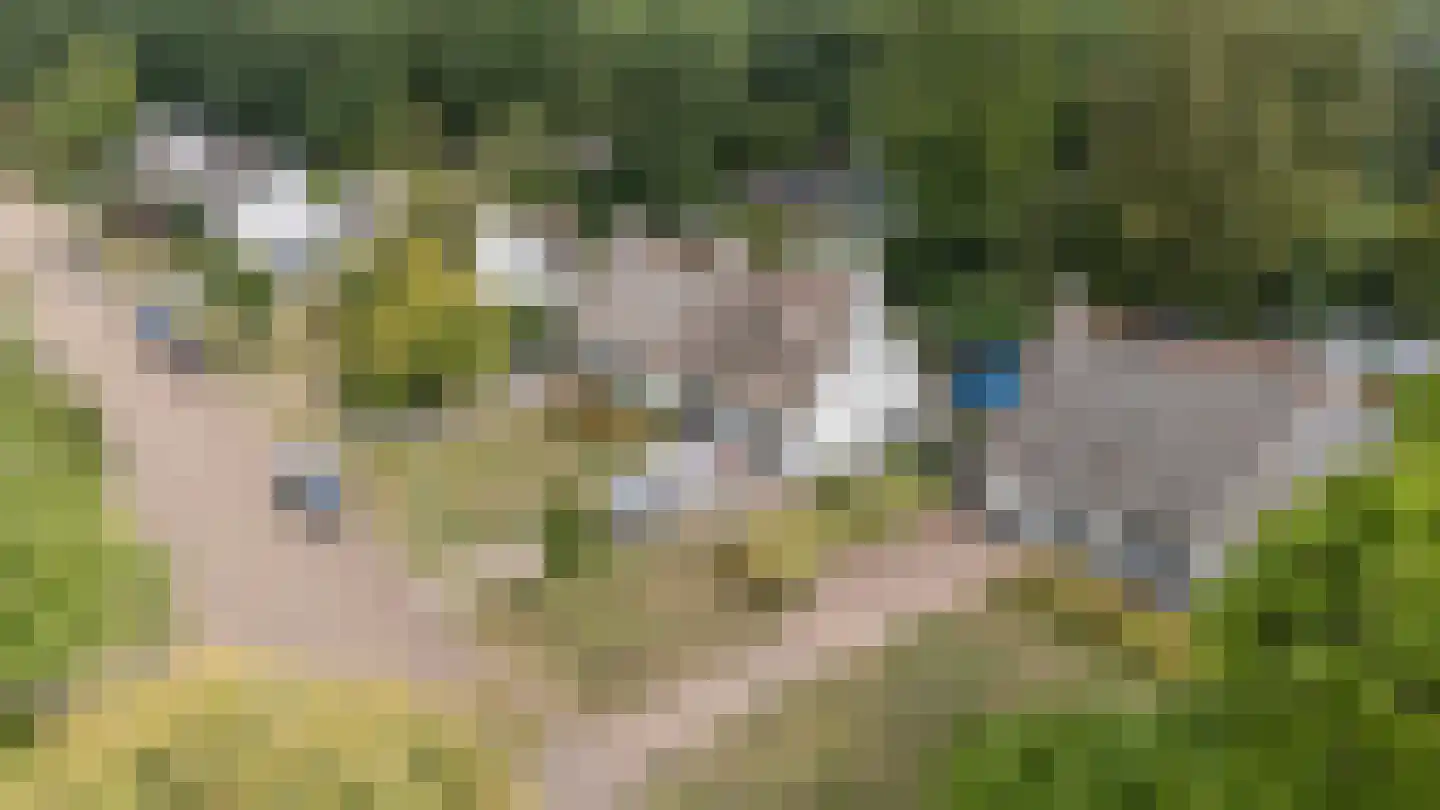 Boskamp 22 Emmen thumbnail 51