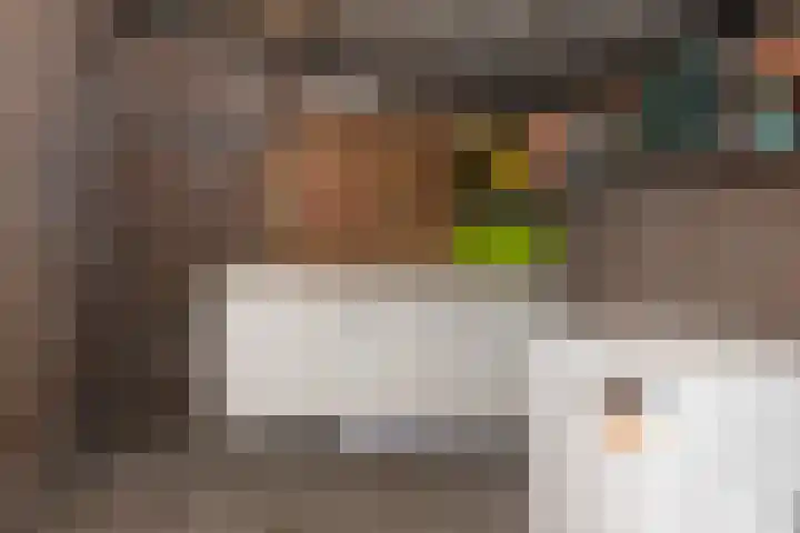Boskamp 22 Hattem thumbnail 26