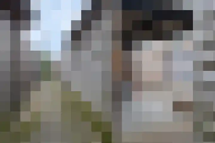 Boskamp 22 Hattem thumbnail 29