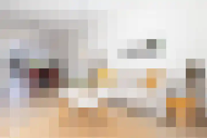 Boskamp 22 Hattem thumbnail 8