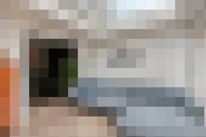 Boskamp 23 Emmen thumbnail 12