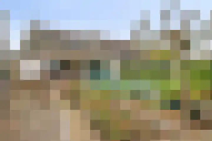 Boskamp 23 Emmen thumbnail 31