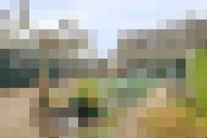 Boskamp 23 Emmen thumbnail 32