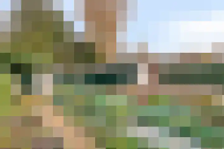 Boskamp 23 Emmen thumbnail 33