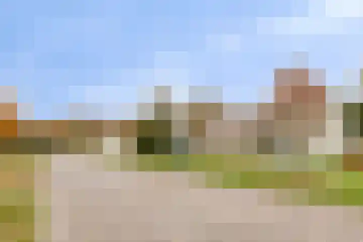 Boskamp 23 Emmen thumbnail 36