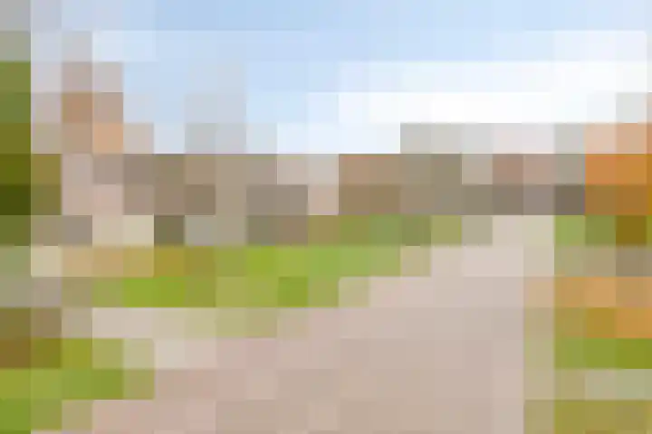 Boskamp 23 Emmen thumbnail 37