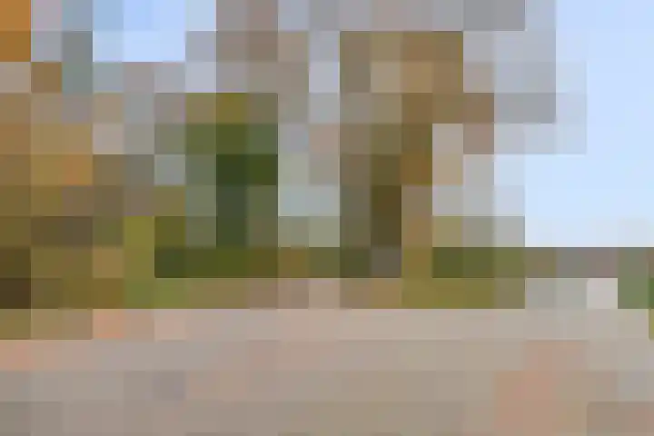 Boskamp 23 Emmen thumbnail 38