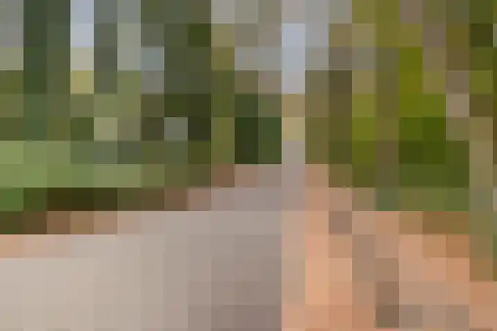 Boskamp 23 Emmen thumbnail 39