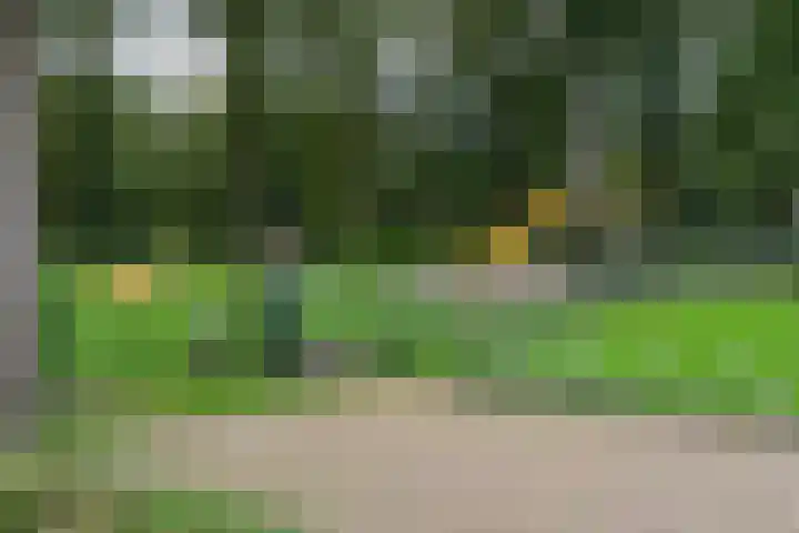 Boskamp 24 Hattem thumbnail 31