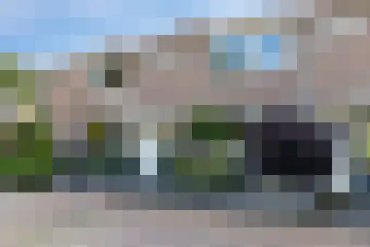 Boskamp 24 Hattem thumbnail 4