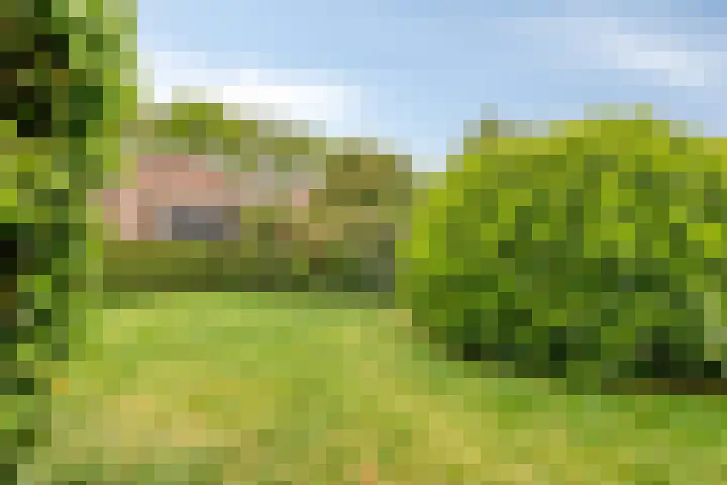 Boskamp 26 Hattem thumbnail 32