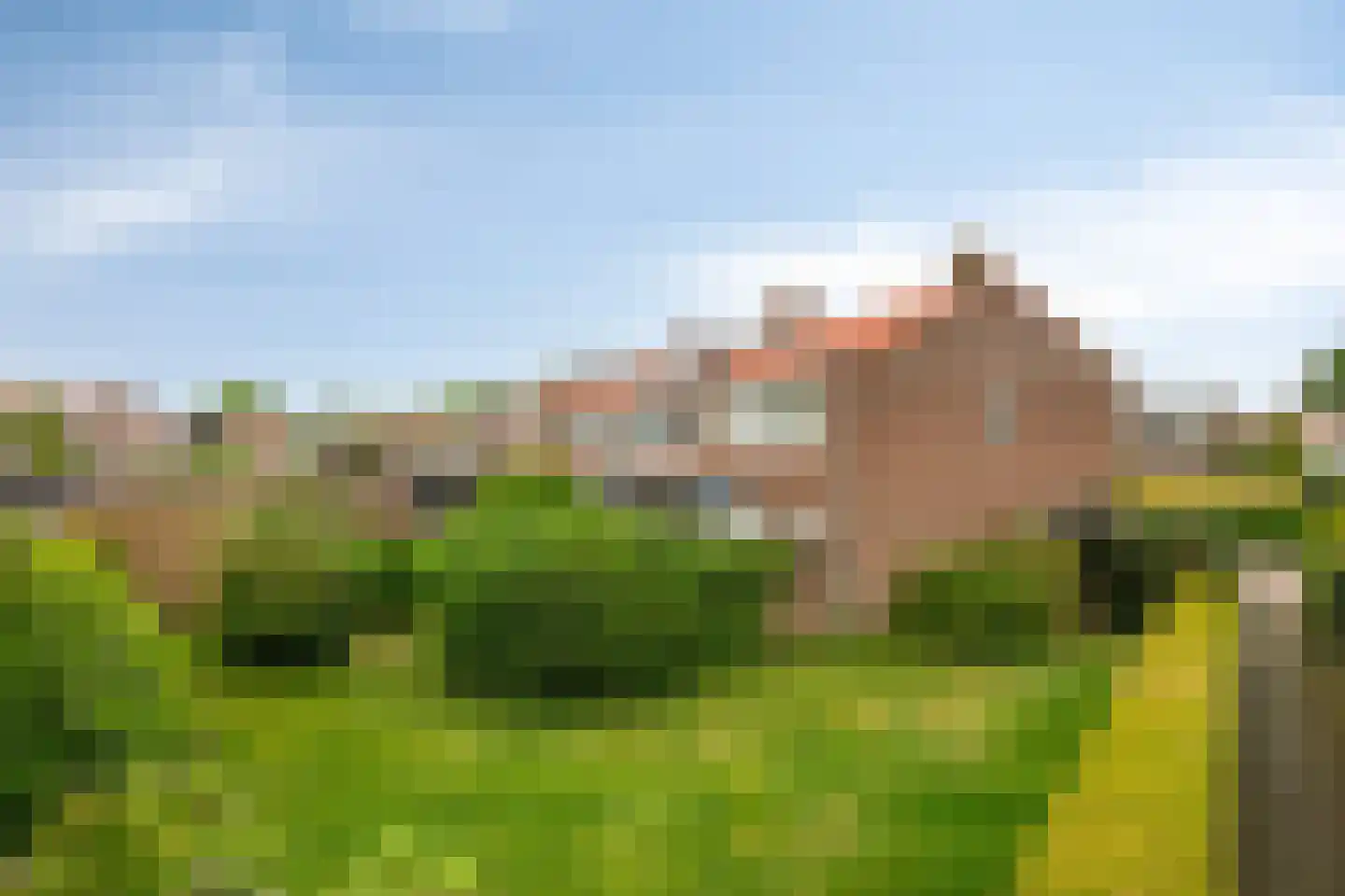 Boskamp 26 Hattem thumbnail 36