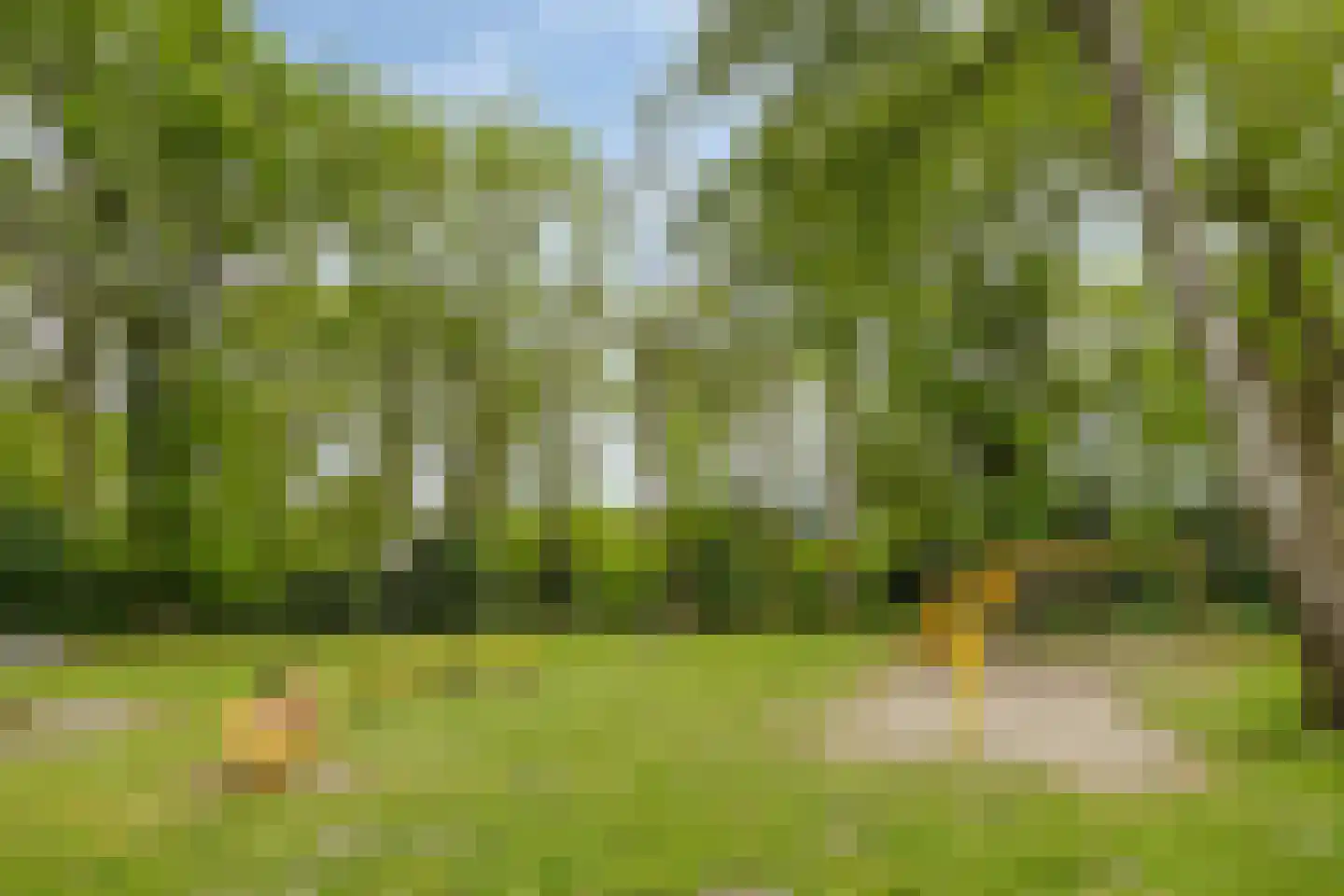Boskamp 26 Hattem thumbnail 37