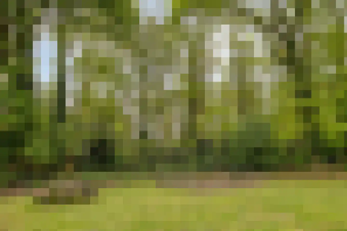 Boskamp 26 Hattem thumbnail 38