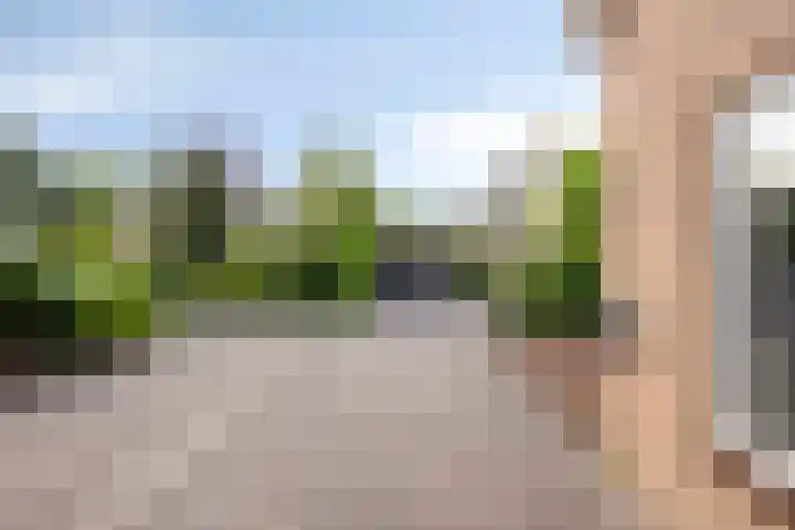 Boskamp 30 Vries thumbnail 10