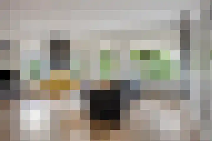 Boskamp 30 Vries thumbnail 14