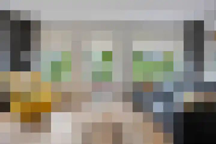 Boskamp 30 Vries thumbnail 17