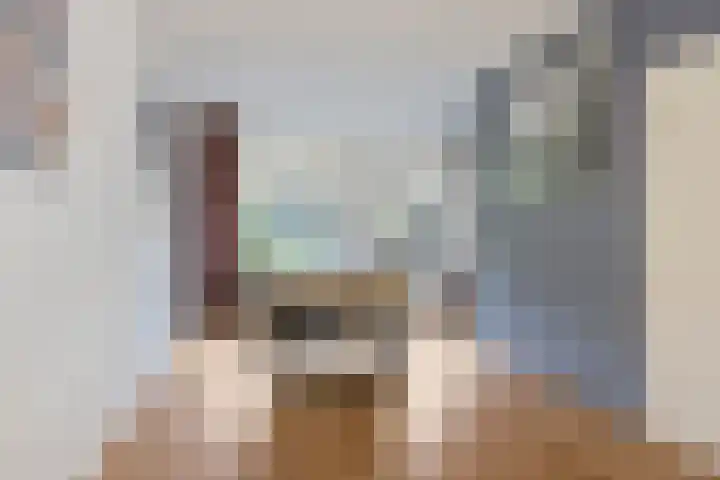 Boskamp 30 Vries thumbnail 18