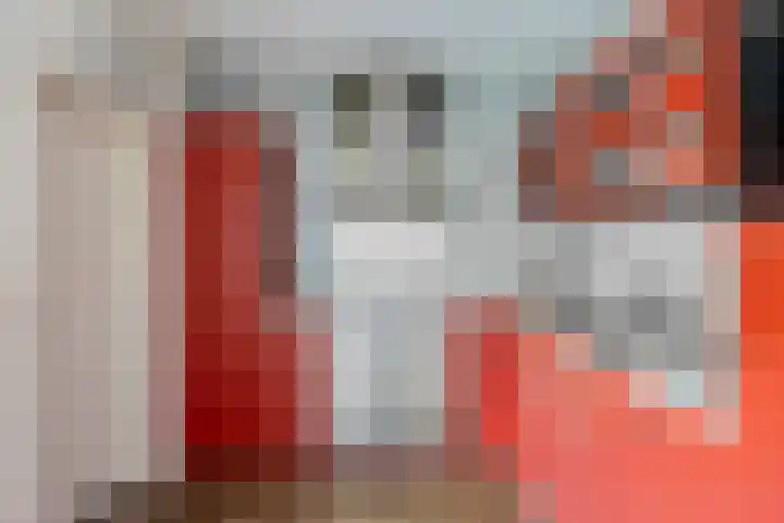 Boskamp 30 Vries thumbnail 22