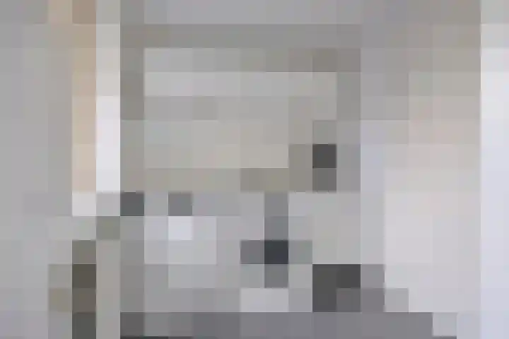 Boskamp 30 Vries thumbnail 24