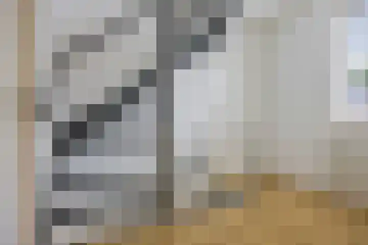 Boskamp 30 Vries thumbnail 25