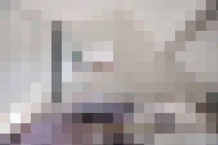 Boskamp 30 Vries thumbnail 29